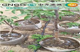 中升全新料园林管
